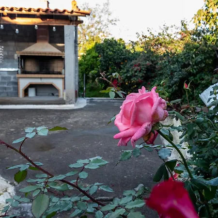 Andreas House Villa *